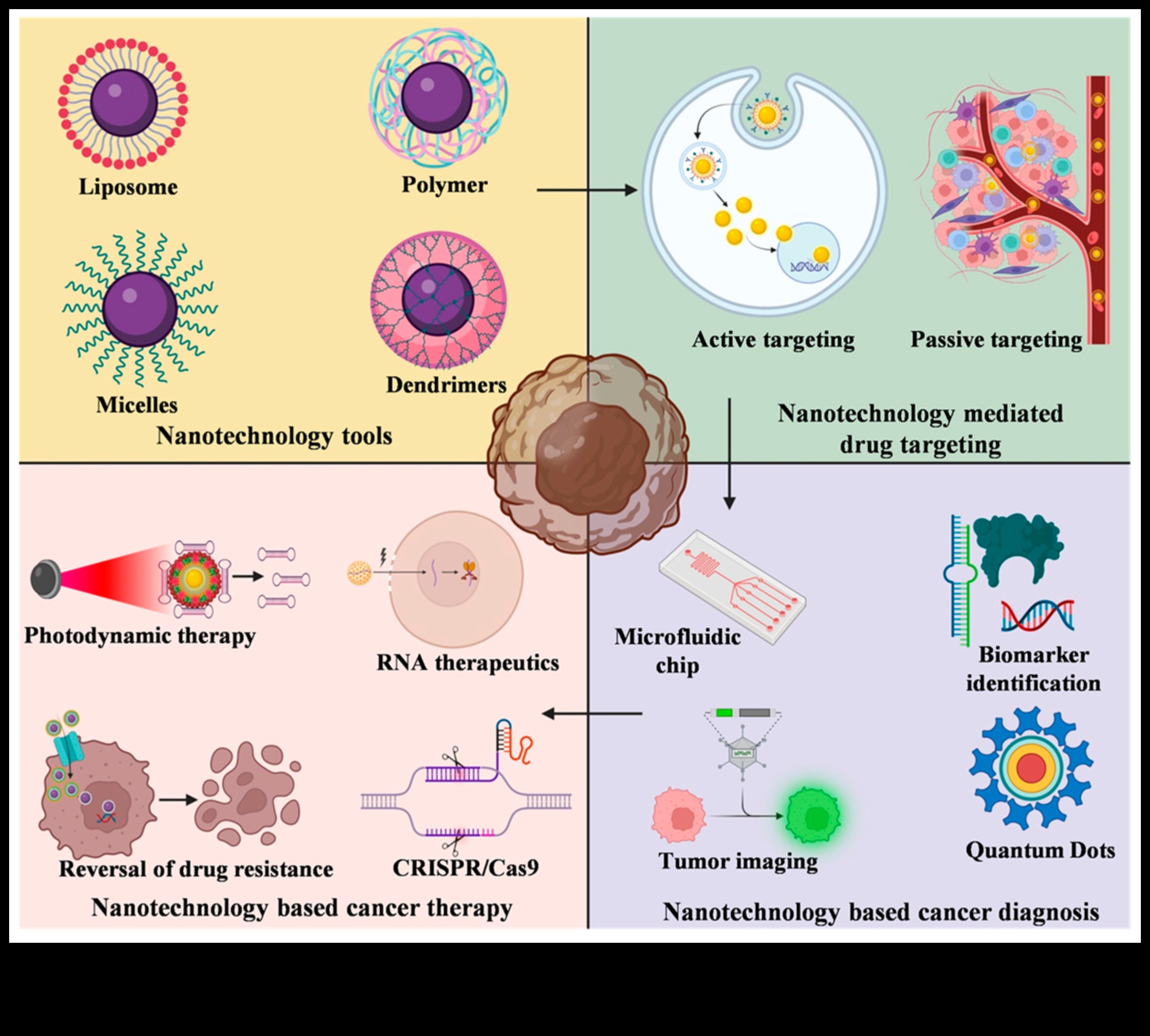 Precīza projektēšana Uz lietotāju orientētas nanotehnoloģijas psiholoģija 4 Precizitāte: uz lietotāju orientētas nanotehnoloģijas psiholoģija