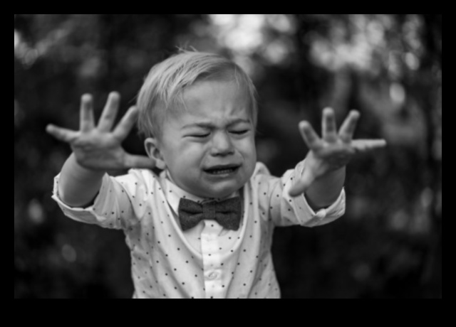 Nākotnes ierāmēšana: vizuālu stāstu veidošana digitālajā fotogrāfijā