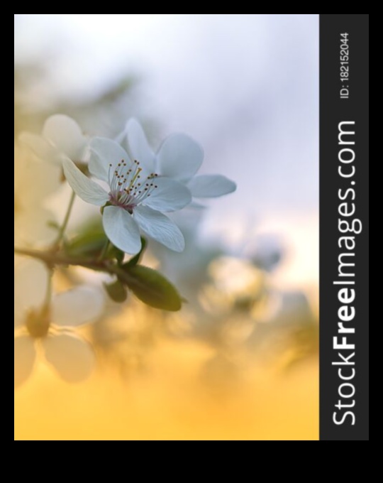 Ziedu fantāzija Ziedoši dabas skaistuma svētki 5 Ziedu fantāzija: ziedošs skaistums, izmantojot dabas fotografēšanas stilus