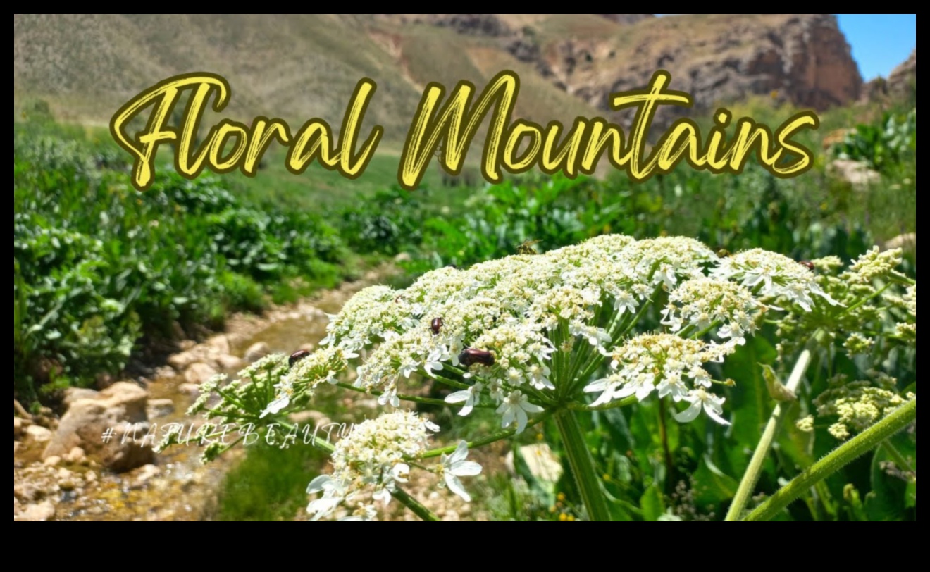 Ziedu fantāzija Ziedoši dabas skaistuma svētki 3 Ziedu fantāzija: ziedošs skaistums, izmantojot dabas fotografēšanas stilus