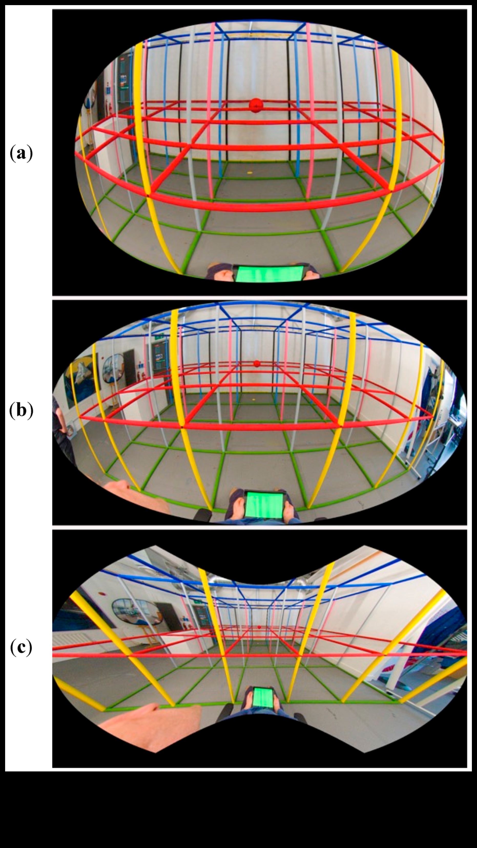 Projektēšanas perspektīvas: māksla ar dažādiem objektīviem datu zinātnē