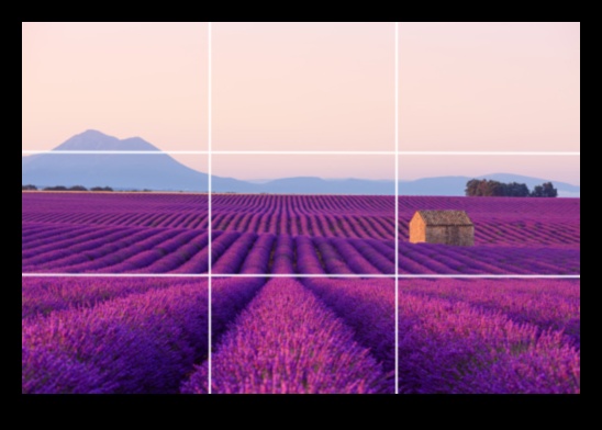 Kadrējiet pareizi 5 kompozīcijas padomi satriecošu fotoattēlu uzņemšanai 2 Kadrējiet to pareizi: svarīgi padomi par kompozīciju, lai izveidotu satriecošus kadrus