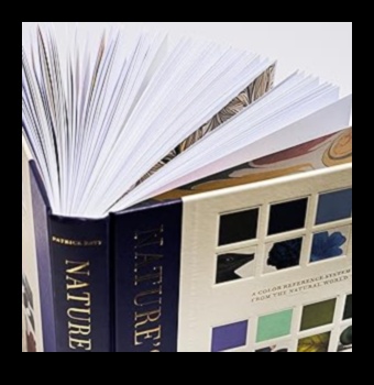 Dabas palete Elpu aizraujošu fotografēšanas stilu apskate, iedvesmojoties no brīvdabas 4 Dabas palete: elpu aizraujoši fotografēšanas stili, iedvesmojoties no āra