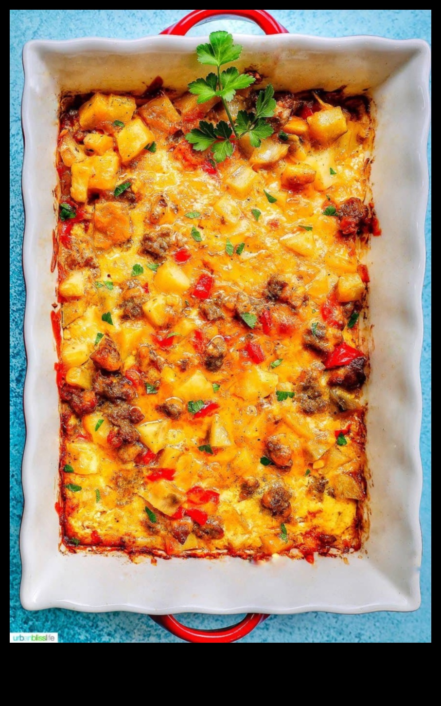 Brokastu svētlaime: atklājiet satriecošus rīta radījumus