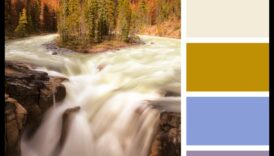 Dabas palete: elpu aizraujoši fotografēšanas stili, iedvesmojoties no āra